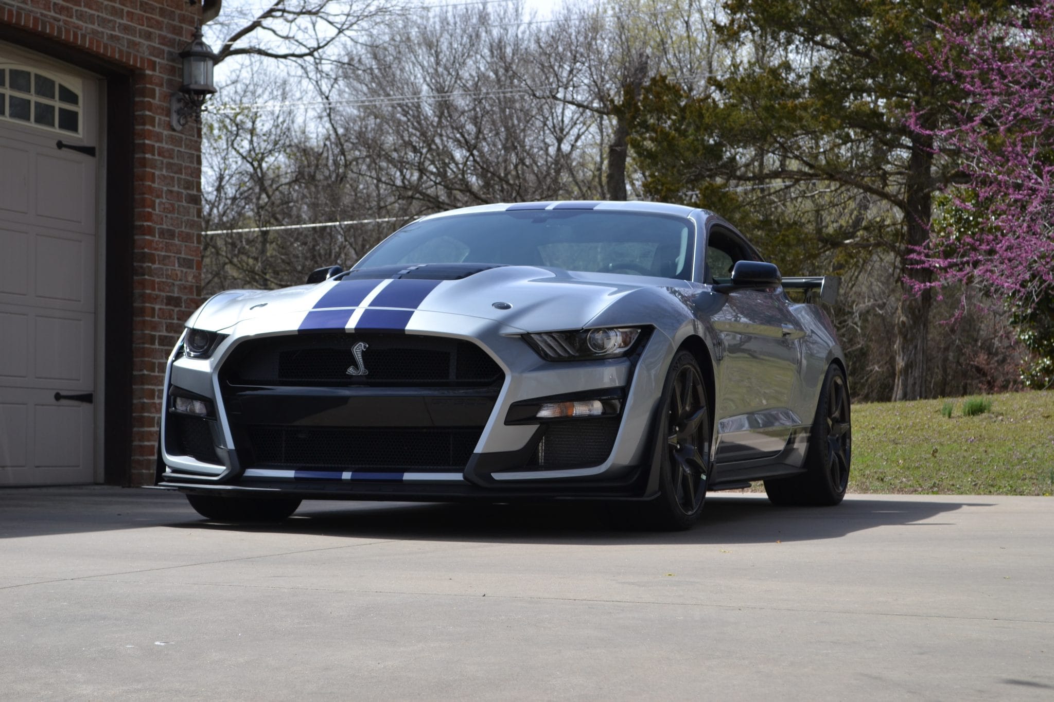 Ford Mustang Shelby GT500 from a Carviondealer listing